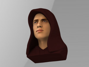 anakin skywalker star wars bust ready for full color 3d printing 3Dプリントモデル