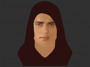 anakin skywalker star wars bust ready for full color 3d printing 3Dプリントモデル