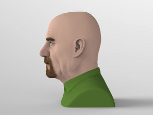 walter white breaking bad bust ready for full color 3d printing Modelo de impresión 3D