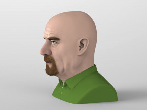 walter white breaking bad bust ready for full color 3d printing Modelo de impresión 3D