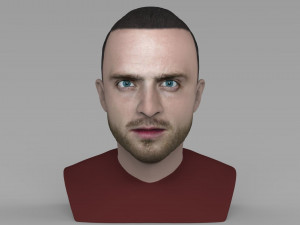 jesse pinkman breaking bad bust ready for full color 3d printing 3D Print Model