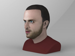 jesse pinkman breaking bad bust ready for full color 3d printing Modelo de Impressão 3D