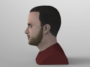 jesse pinkman breaking bad bust ready for full color 3d printing Modelo de Impressão 3D