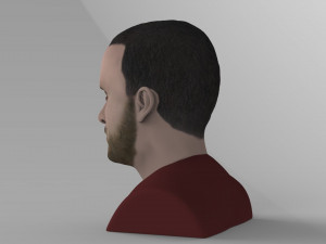 jesse pinkman breaking bad bust ready for full color 3d printing Modelo de Impressão 3D