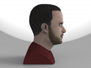 jesse pinkman breaking bad bust ready for full color 3d printing Modelo de Impressão 3D