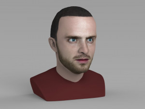 jesse pinkman breaking bad bust ready for full color 3d printing Modelo de Impressão 3D