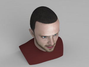 jesse pinkman breaking bad bust ready for full color 3d printing Modelo de Impressão 3D