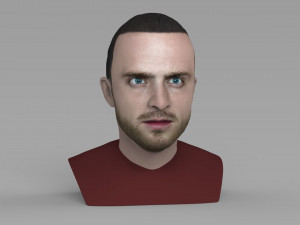 jesse pinkman breaking bad bust ready for full color 3d printing Modelo de Impressão 3D