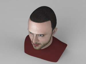 jesse pinkman breaking bad bust ready for full color 3d printing Modelo de Impressão 3D