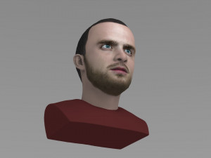 jesse pinkman breaking bad bust ready for full color 3d printing Modelo de Impressão 3D