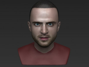 jesse pinkman breaking bad bust ready for full color 3d printing Modelo de Impressão 3D