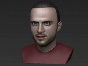 jesse pinkman breaking bad bust ready for full color 3d printing Modelo de Impressão 3D