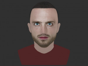 jesse pinkman breaking bad bust ready for full color 3d printing Modelo de Impressão 3D