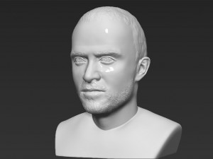 jesse pinkman breaking bad bust ready for full color 3d printing Modelo de Impressão 3D