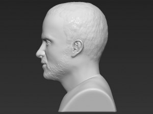 jesse pinkman breaking bad bust ready for full color 3d printing Modelo de Impressão 3D