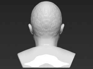jesse pinkman breaking bad bust ready for full color 3d printing Modelo de Impressão 3D