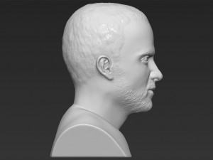 jesse pinkman breaking bad bust ready for full color 3d printing Modelo de Impressão 3D