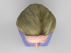 hillary clinton bust ready for full color 3d printing 3D Print Model