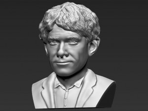 bilbo baggins hobbit bust 3d printing ready stl obj 3Dプリントモデル