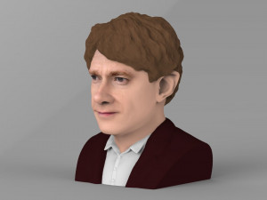 bilbo baggins hobbit bust ready for full color 3d printing 3D Принт Модель