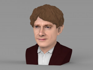 bilbo baggins hobbit bust ready for full color 3d printing 3D Принт Модель