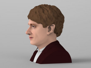 bilbo baggins hobbit bust ready for full color 3d printing 3D Принт Модель