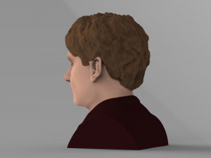 bilbo baggins hobbit bust ready for full color 3d printing 3D Принт Модель
