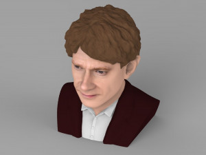 bilbo baggins hobbit bust ready for full color 3d printing 3D Принт Модель