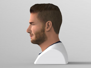 david beckham bust ready for full color 3d printing Modello di stampa 3D