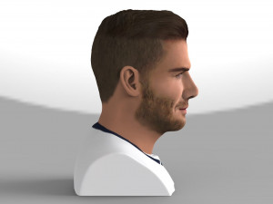 david beckham bust ready for full color 3d printing Modello di stampa 3D