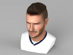 david beckham bust ready for full color 3d printing Modello di stampa 3D
