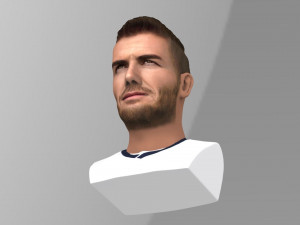 david beckham bust ready for full color 3d printing Modello di stampa 3D
