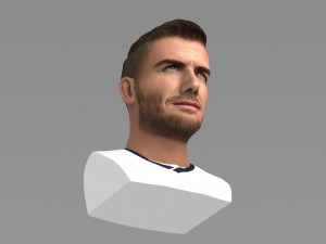 david beckham bust ready for full color 3d printing Modello di stampa 3D