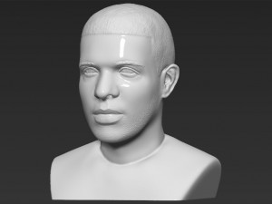 drake bust 3d printing ready stl obj 3D-Druckmodell
