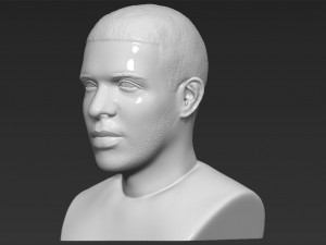 drake bust 3d printing ready stl obj 3D-Druckmodell