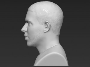 drake bust 3d printing ready stl obj 3D-Druckmodell