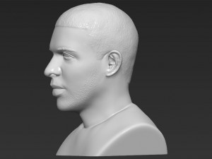 drake bust 3d printing ready stl obj 3D-Druckmodell