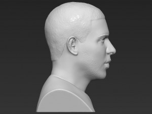drake bust 3d printing ready stl obj 3D-Druckmodell