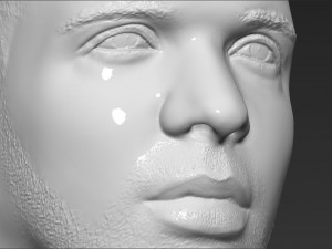 drake bust 3d printing ready stl obj 3D-Druckmodell