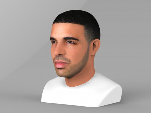 drake bust ready for full color 3d printing Modelo de impresión 3D