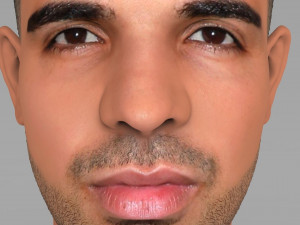 drake bust ready for full color 3d printing Modelo de impresión 3D