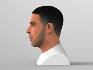 drake bust ready for full color 3d printing Modelo de impresión 3D