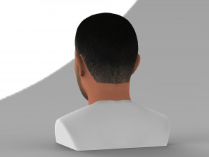 drake bust ready for full color 3d printing Modelo de impresión 3D