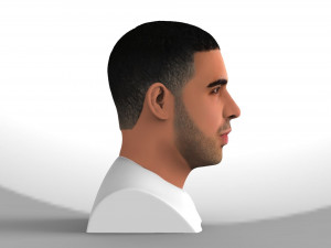 drake bust ready for full color 3d printing Modelo de impresión 3D
