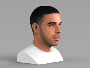drake bust ready for full color 3d printing Modelo de impresión 3D