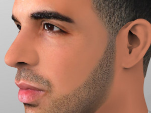 drake bust ready for full color 3d printing Modelo de impresión 3D