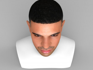 drake bust ready for full color 3d printing Modelo de impresión 3D