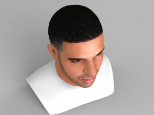 drake bust ready for full color 3d printing Modelo de impresión 3D