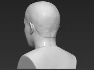drake bust ready for full color 3d printing Modelo de impresión 3D