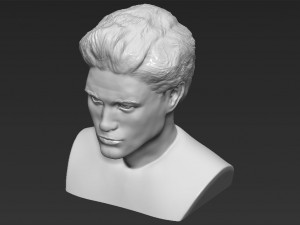 edward cullen twilight robert pattinson bust 3d printing ready Modello di stampa 3D